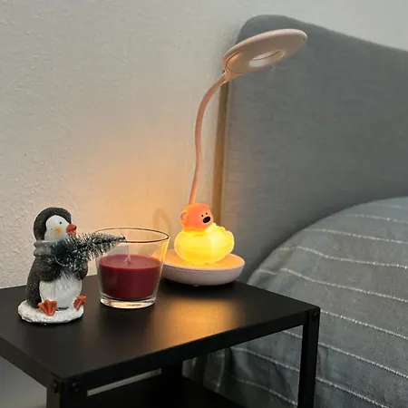 Au Coeur Apartment Straßburg